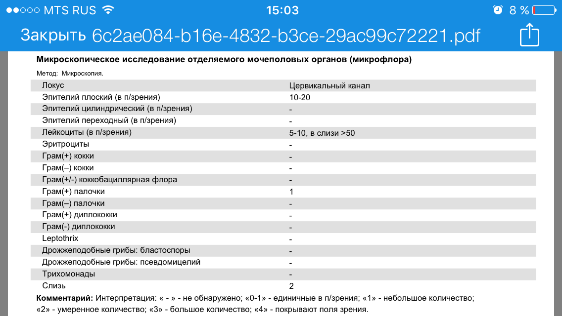 Грам палочки умеренное количество