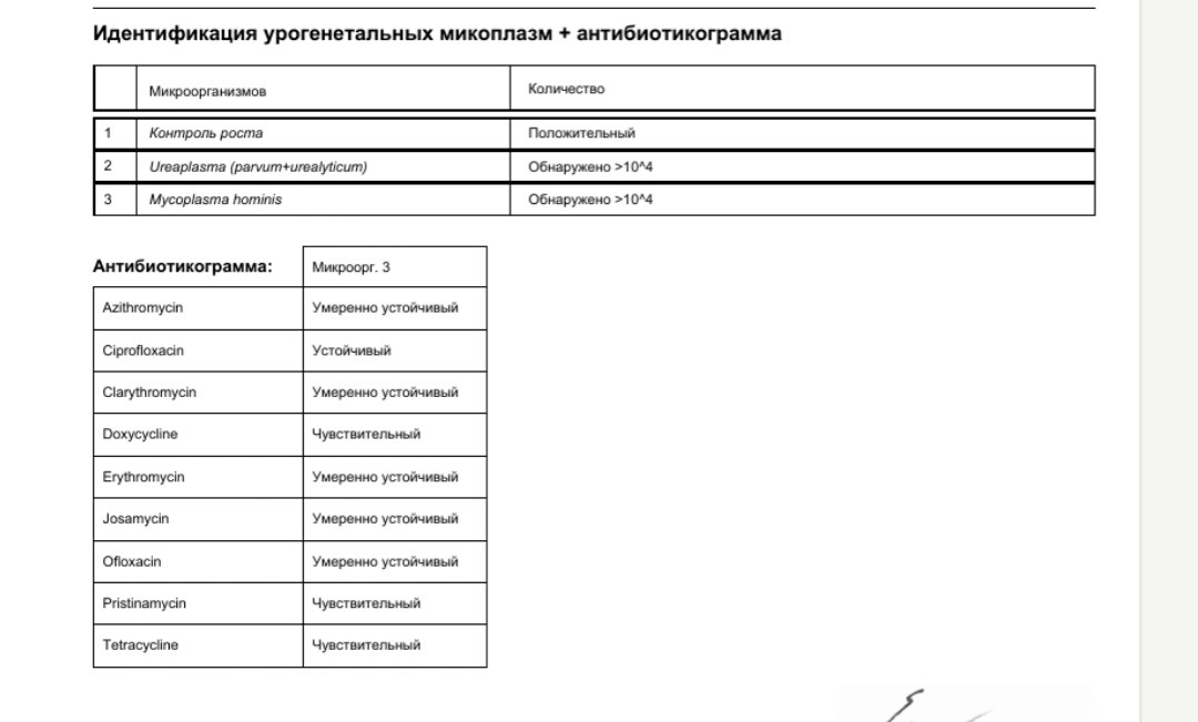 Уреаплазма норма в мазке