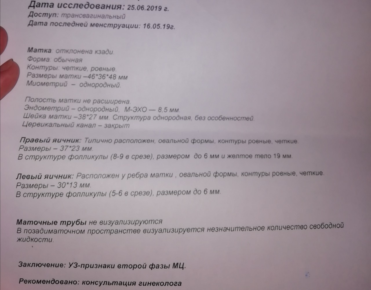 Задержка 3 года. Задержка 3 недели. Задержка 3 недели беременности нет. Заключение гинеколога на 3 недели беременности до задержки месячных. М Эхо 16 мм 2 недели задержки.