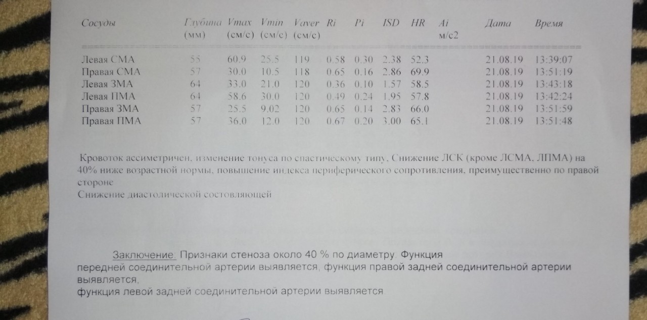 Узи сосудов шеи волгоград