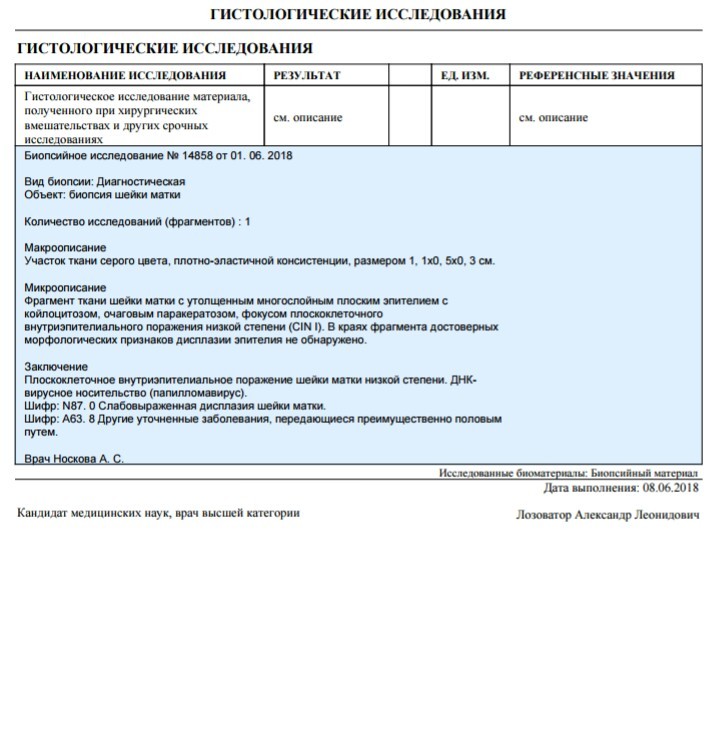 Образец гистологического исследования