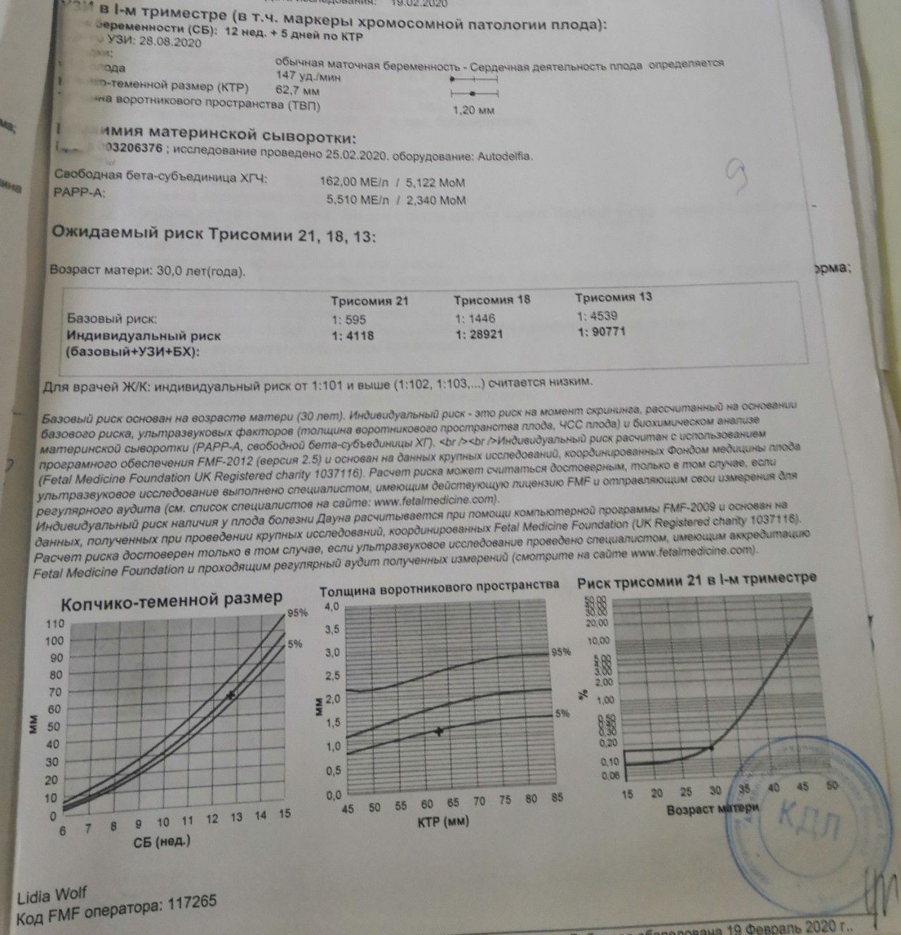 Кости носа 20 недель