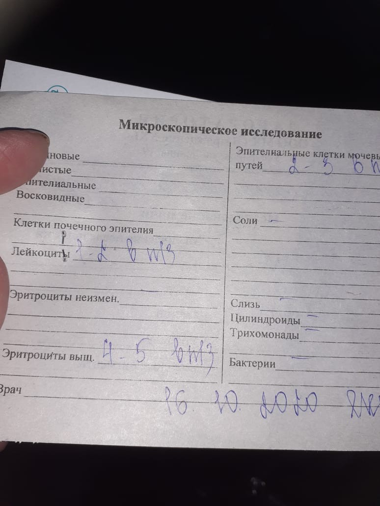 Что такое анализ. Анализ. Остеоскрининг. Анализы необходимые для нефролога. Что такое анализ ним.