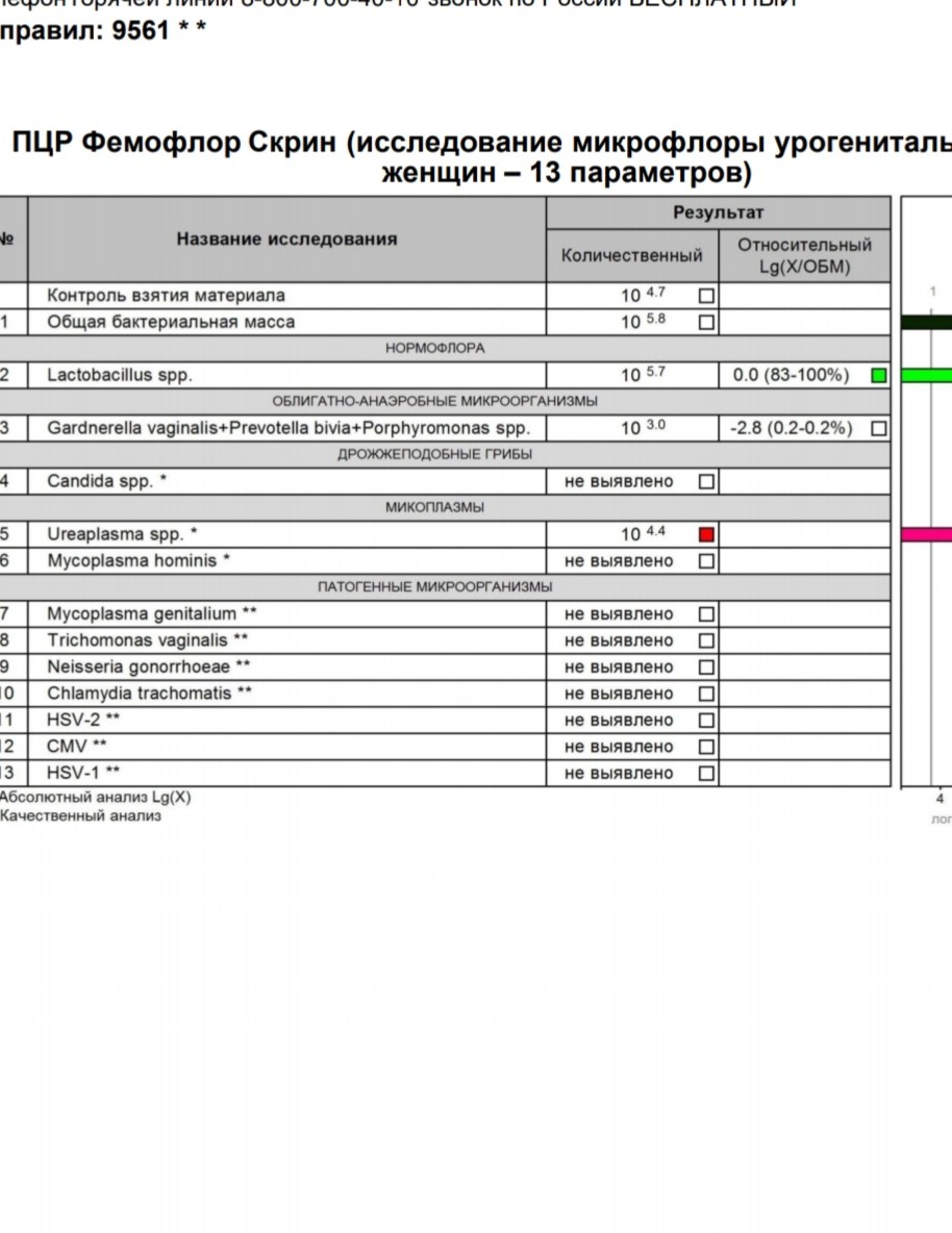 Ureaplasma 10 4