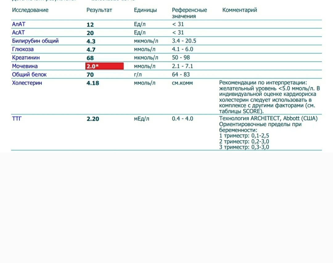 Билирубин повышен что это значит. Билирубин норма при беременности 2 триместр. Билирубин у беременных норма 1 триместр. Билирубин норма у беременных 2 триместр. Билирубин общий норма у беременных 3 триместр.