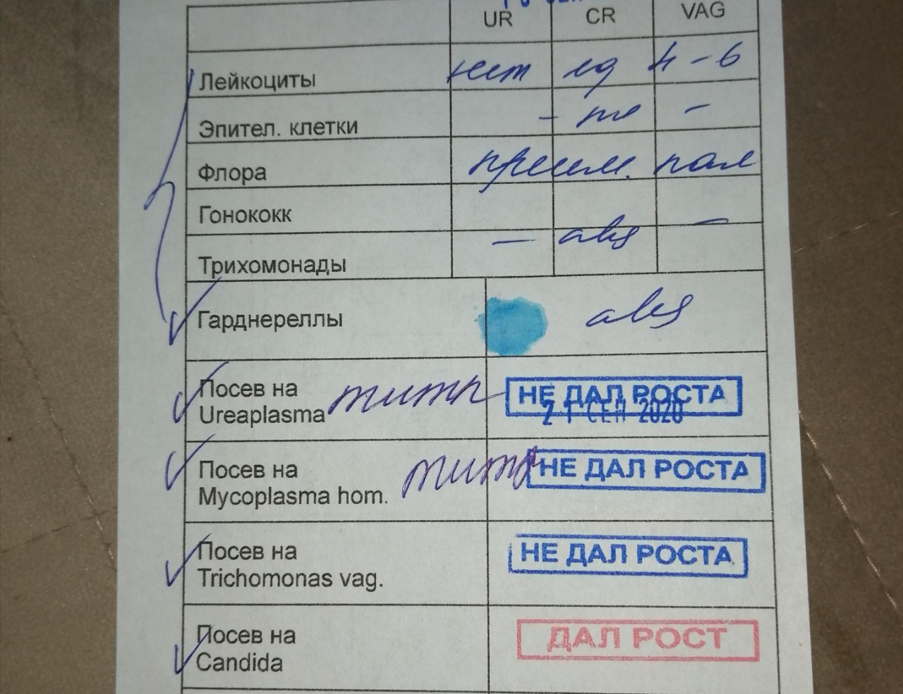 Какие анализы сдать. Анализы при выделении. Анализ выделений. Какие анализы сдавать каждый год. Какие анализы сдают на права.