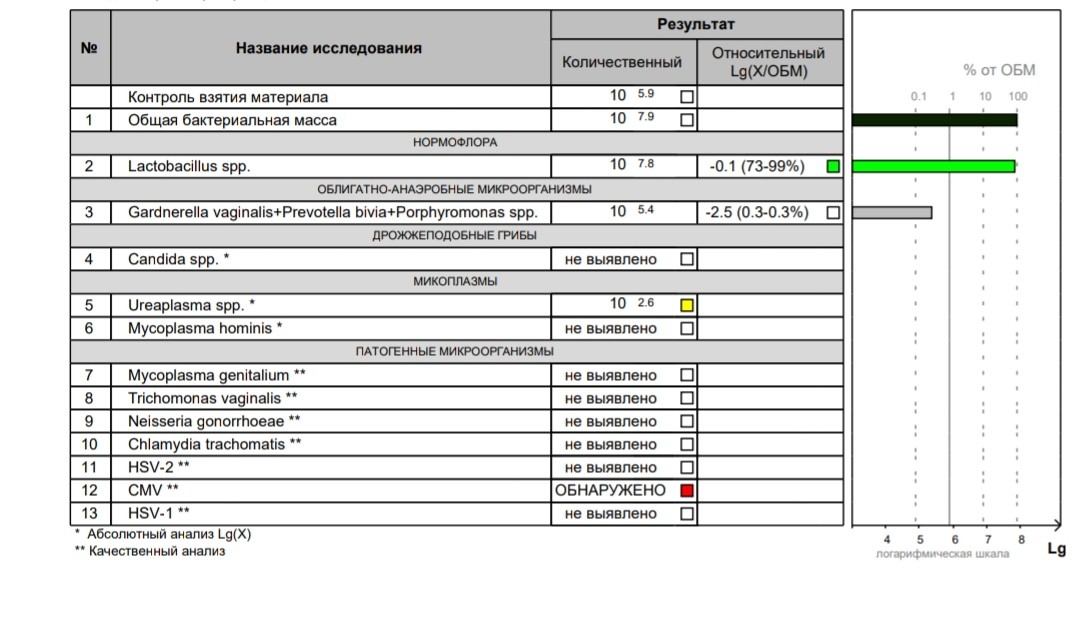 Гарднерелла у женщин что это. Нормофлора Lactobacillus SPP норма у женщин. Нормофлора Lactobacillus SPP 10 7.6. Lactobacillus SPP норма у беременных. Фемофлор Gardnerella.