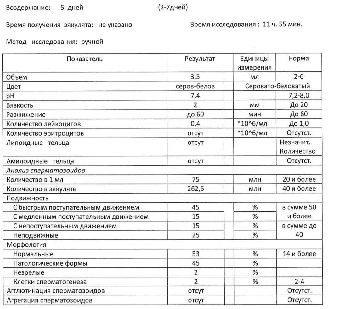 расшифровка анализа спермы мужчины фото 7