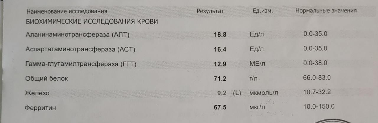 Базофилы повышены у женщины. Повышение базофилов в крови у женщин. Базофилы повышены у женщины в крови причины. Норма базофилов в крови у женщин. Базофилы повышены у женщины в крови 1.2.