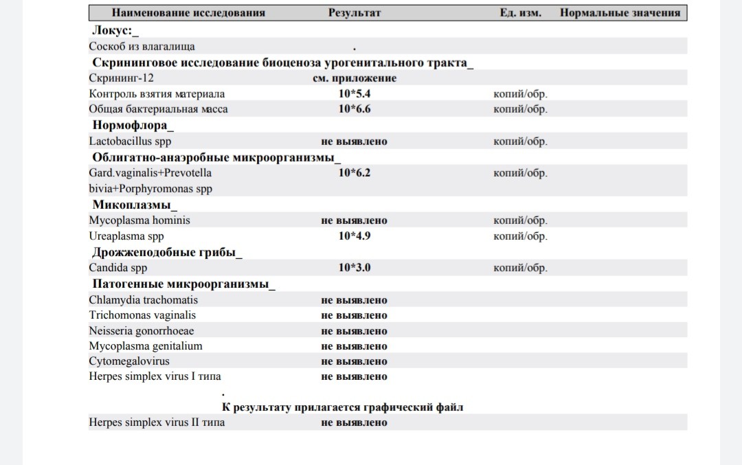 Ureaplasma spp что это. Уреаплазма и лейкоциты в мазке. Ureaplasma SPP что это у женщин в мазке. Повышенные лейкоциты при уреаплазме. Уреаплазма как обозначается в анализах.