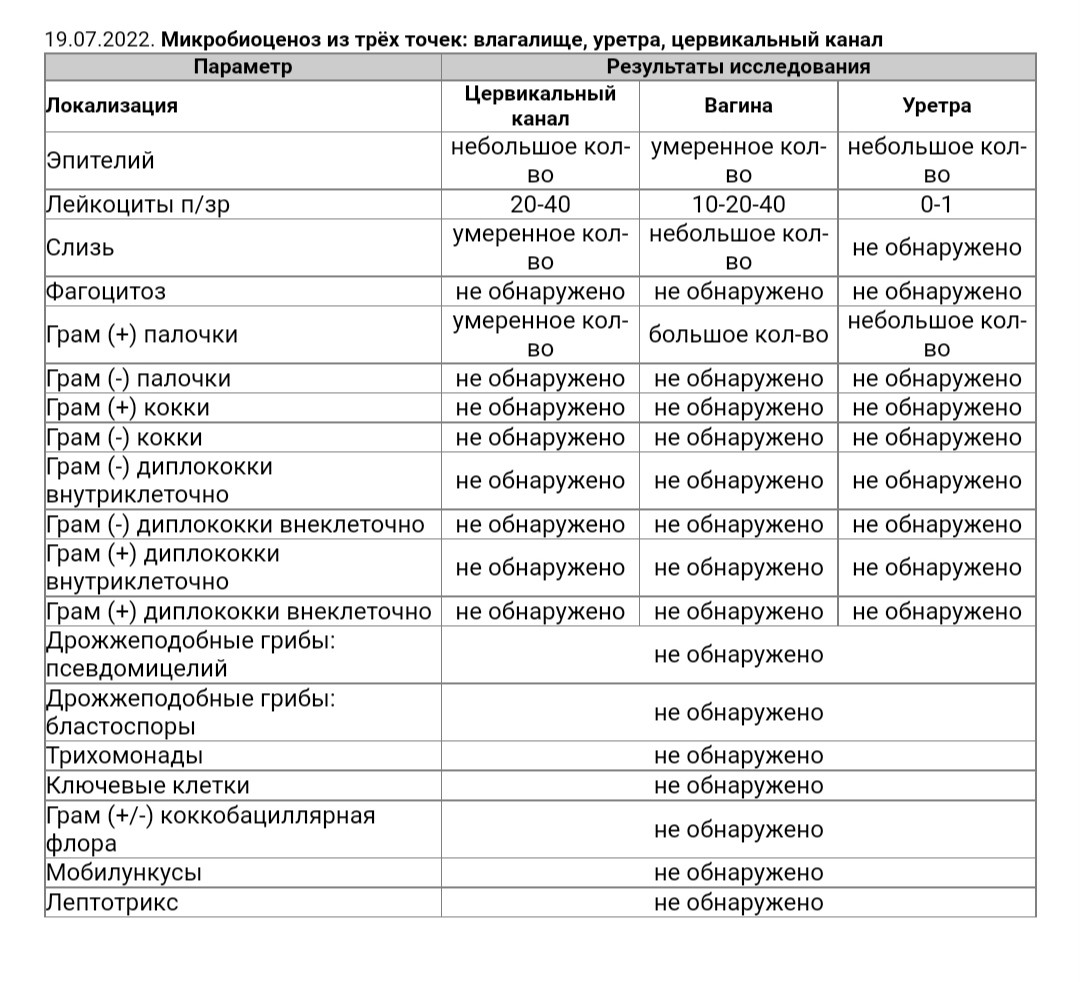 Микробиоценоз анализ. Микробиоценоз анализ у женщин. Микробиоценоз из трех точек норма. Три точки микробиоценоз.