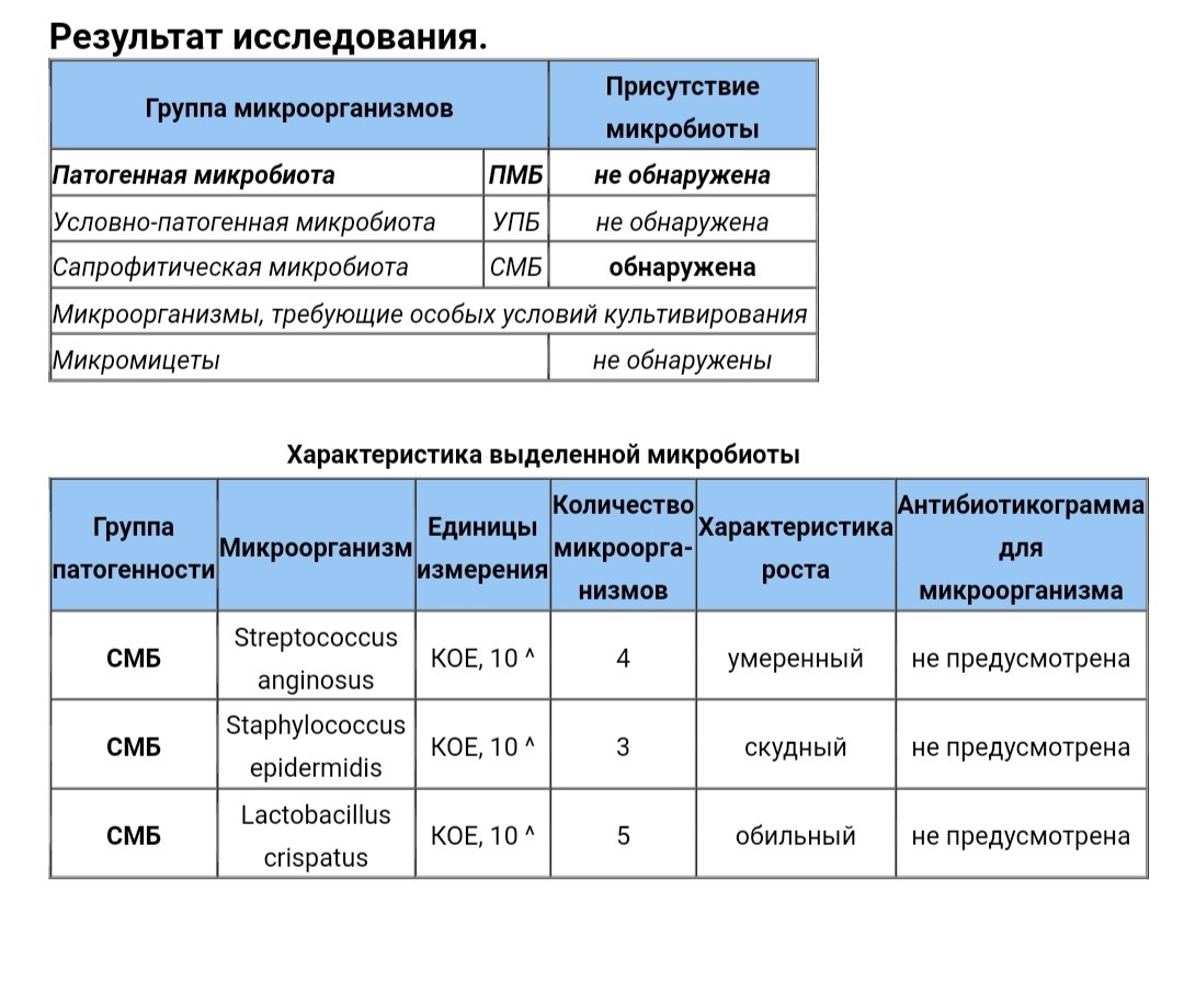 Условно патогенная обнаружена. Сапрофитическая микробиота. Сапрофитическая микробиота обнаружена что это. Сапрофитическая микрофлора обнаружена что это значит. Сапрофитическая микробиота в мокроте.