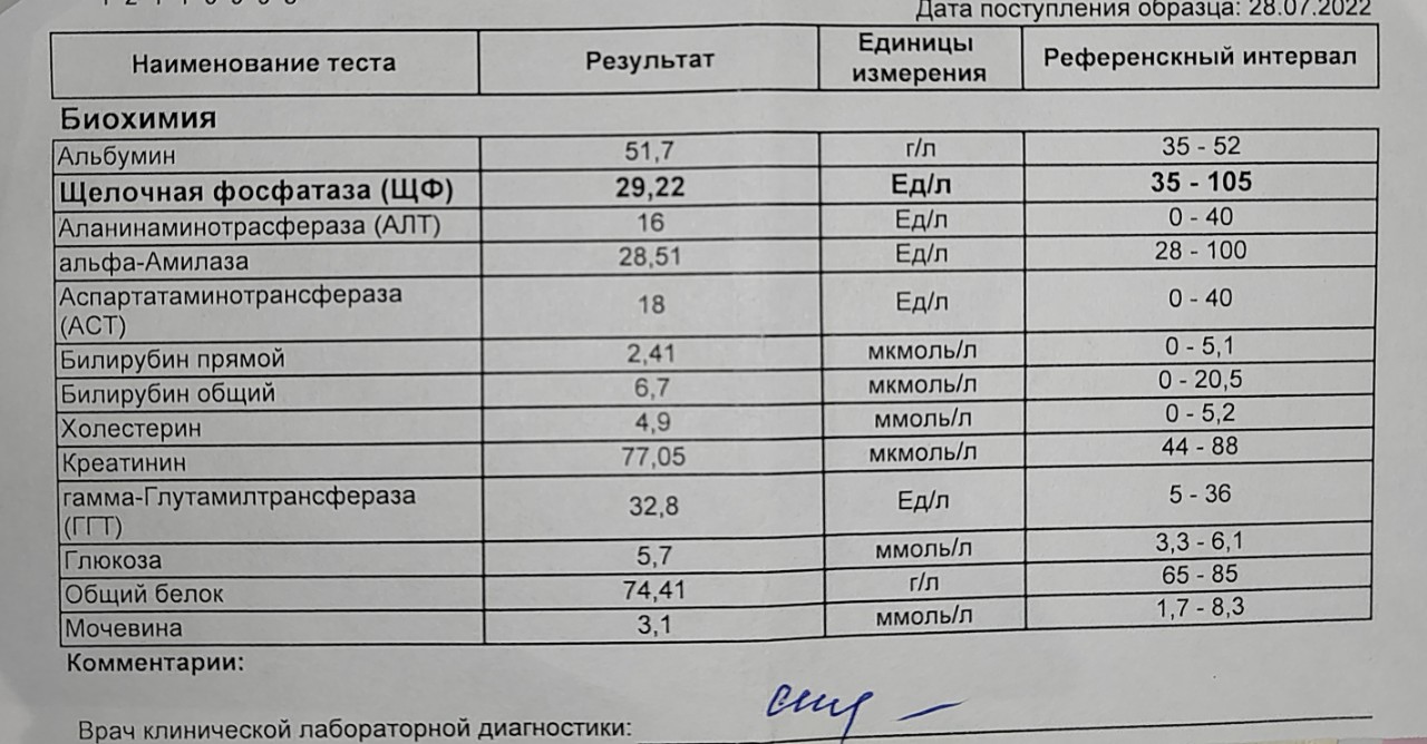 Расшифровка анализов онлайн по фото