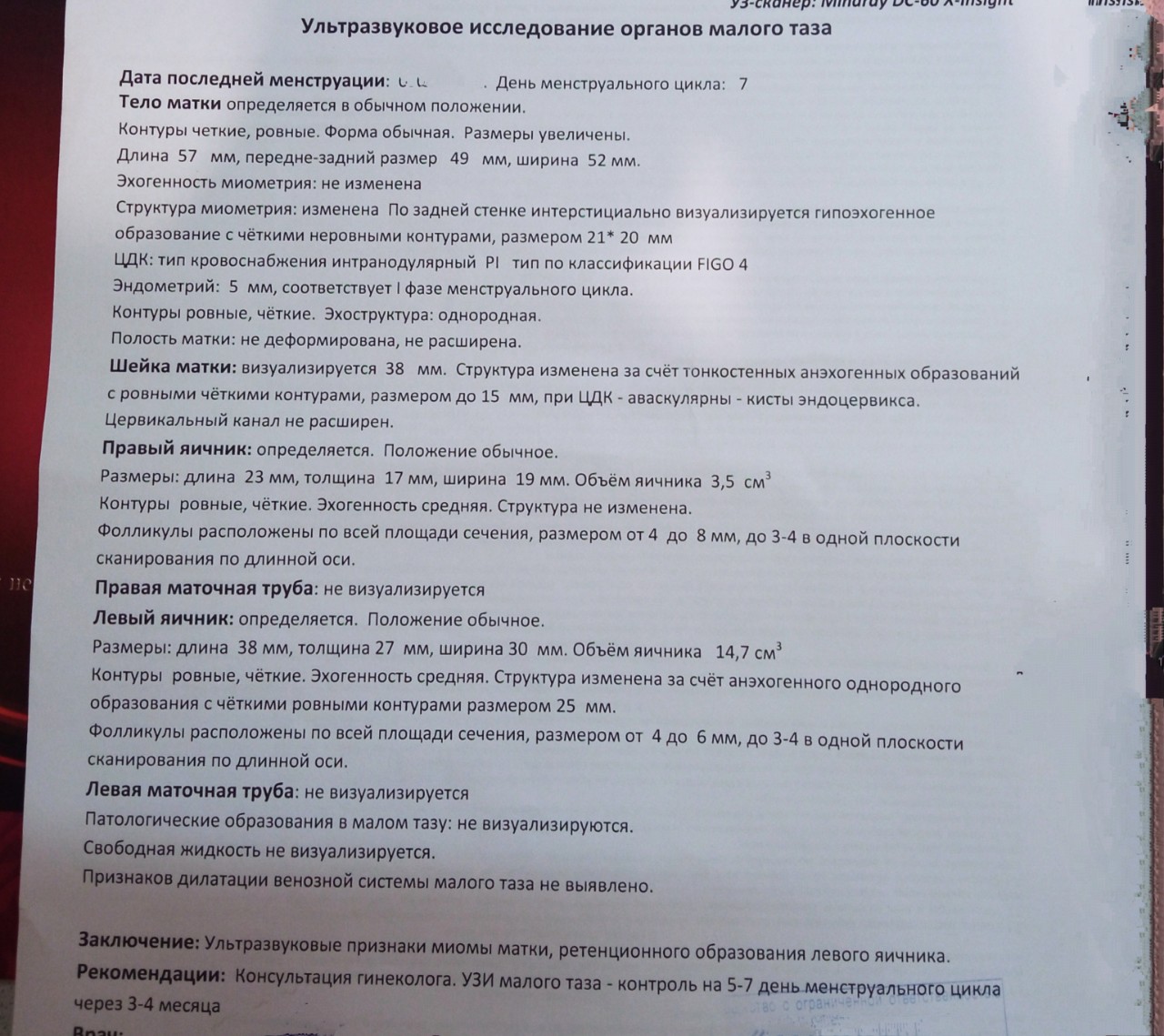 Общий узи органов. Ультразвуковое исследование органов малого таза. Ультразвуковое исследование органов малого таза (комплексное). УЗИ малого таза фото. УЗИ органов малого таза у детей.