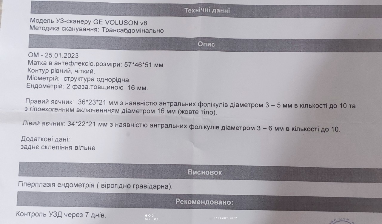 Биохимическое узи. Биохимическая беременность по УЗИ. Размеры желтого тела. Тесты при биохимической беременности. Тесты биохимическая беременность по дням.