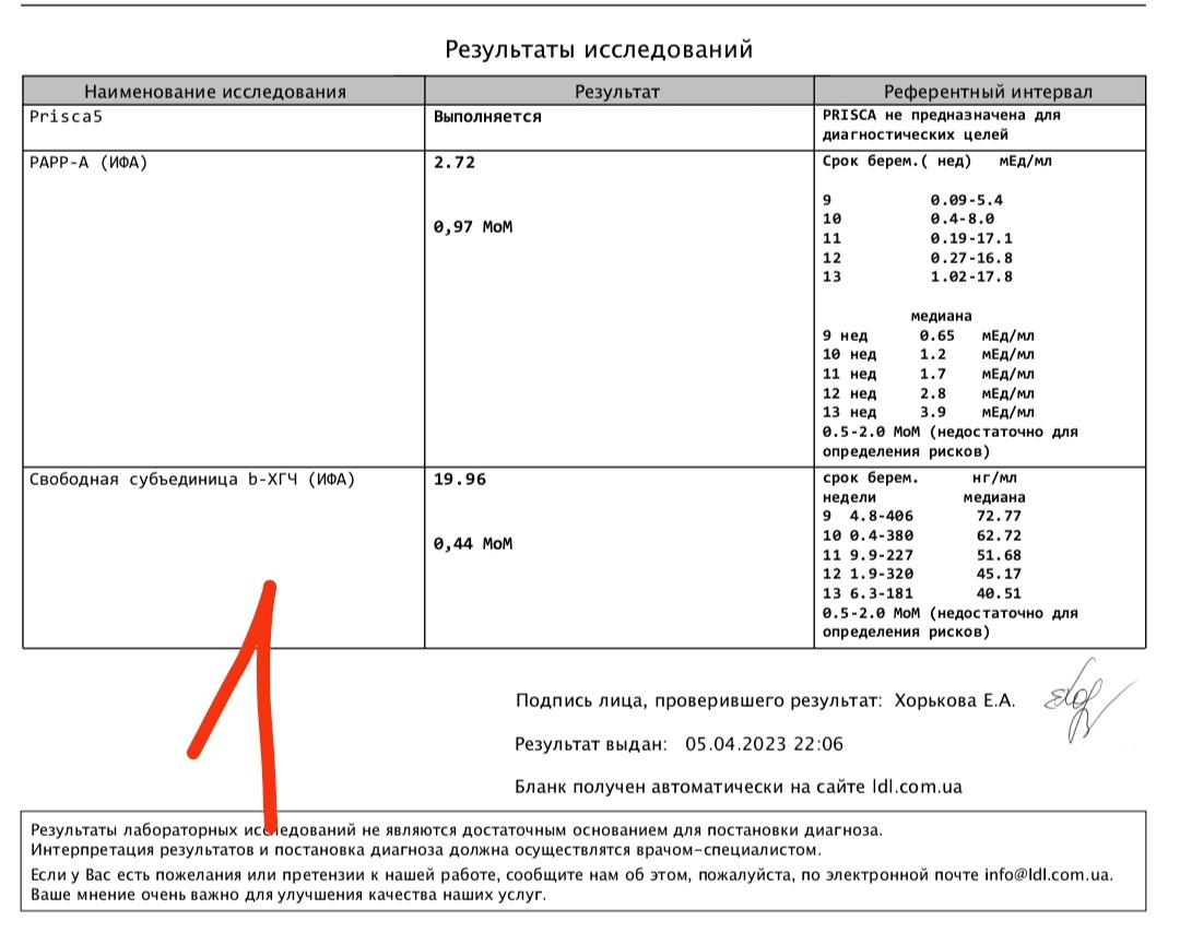 Хгч при беременности форум