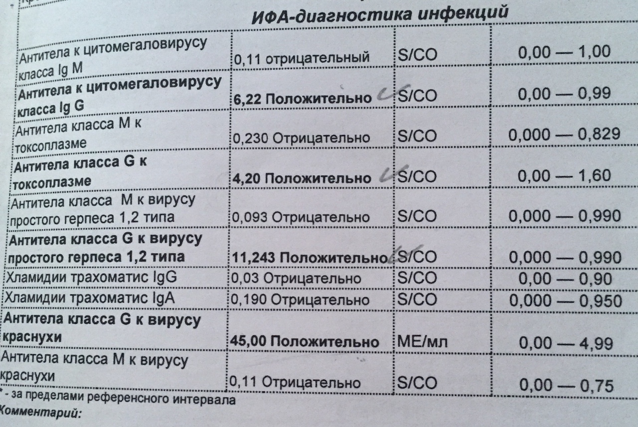 Торч инфекции презентация