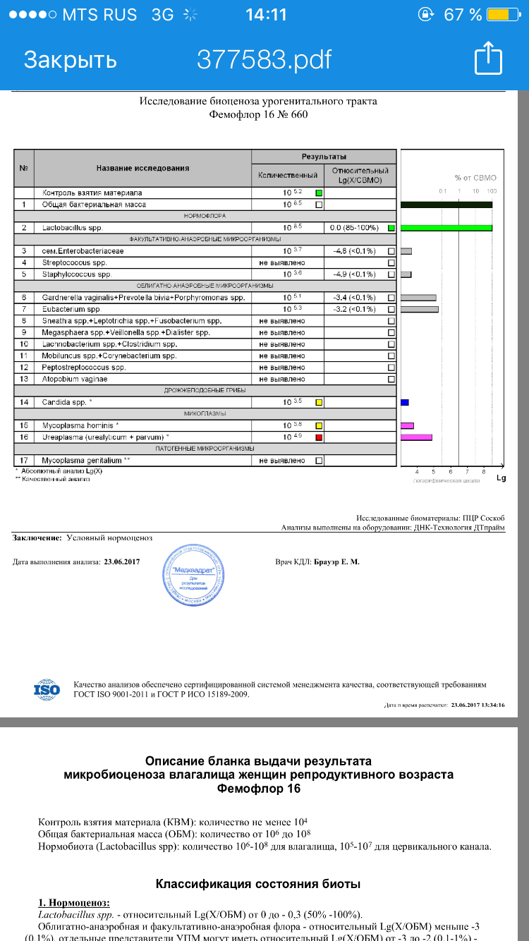 Фемофлор скрин нормоценоз. Фемофлор 16 условный нормоценоз. Фемофлор заключение. Относительный нормоценоз.