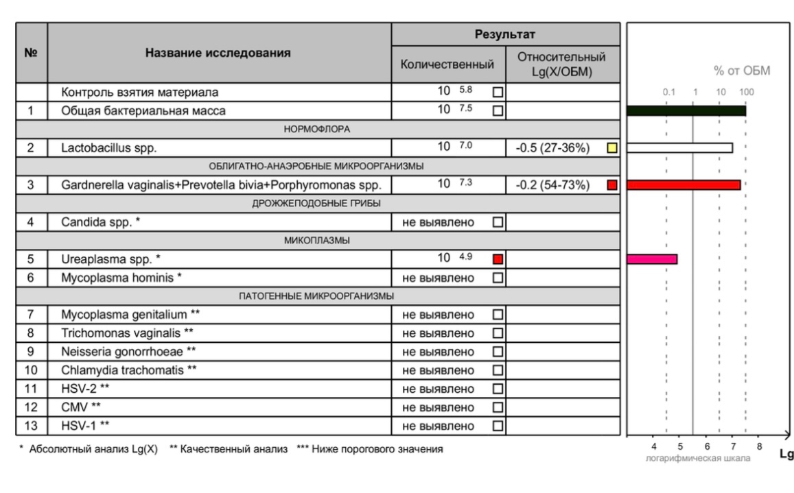 Фемофлор расшифровка у женщин норма. ПЦР Фемофлор скрин 13. ПЦР Фемофлор 13 расшифровка. Мазок ПЦР Фемофлор 13. Анализ Фемофлор 13 расшифровка.