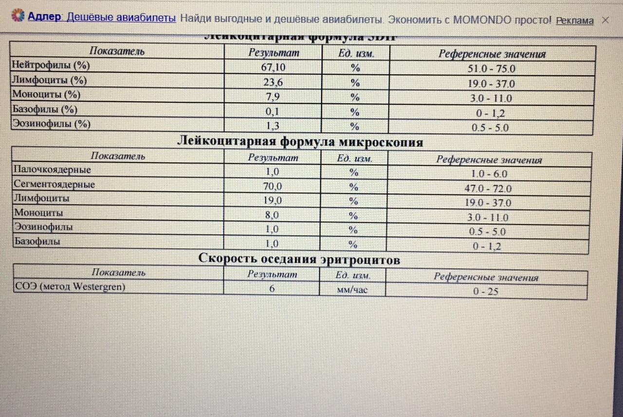 Анализ крови после дтп все подробности и сроки