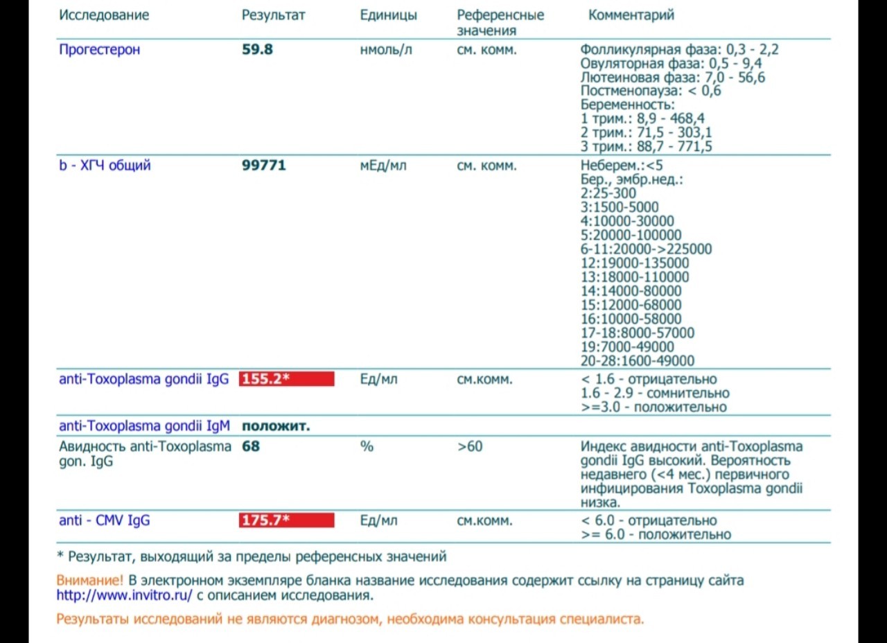 Toxoplasma gondii igg положительный. IGG положительный IGM отрицательный токсоплазмоз. Расшифровка анализа на токсоплазмоз. Токсоплазма авидность. Toxoplasma gondii IGG авидность.