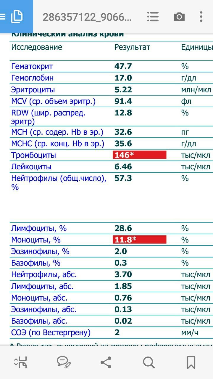 Моноциты что это значит у взрослого. Моноциты расшифровка анализа.