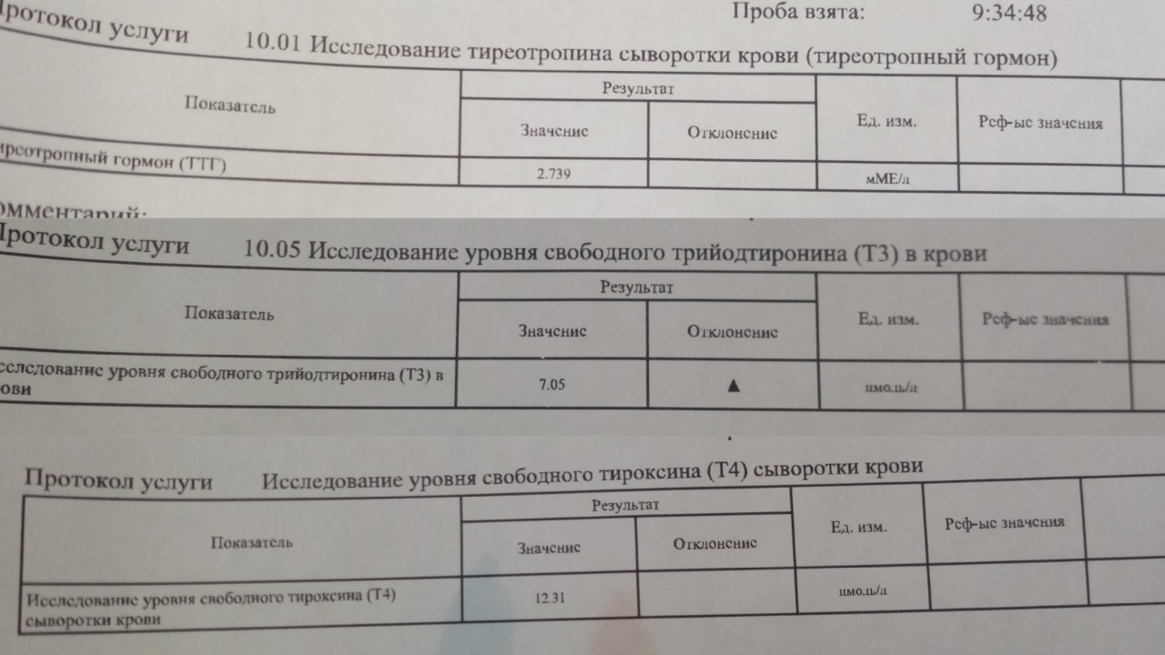 Кровь ттг т4 подготовка