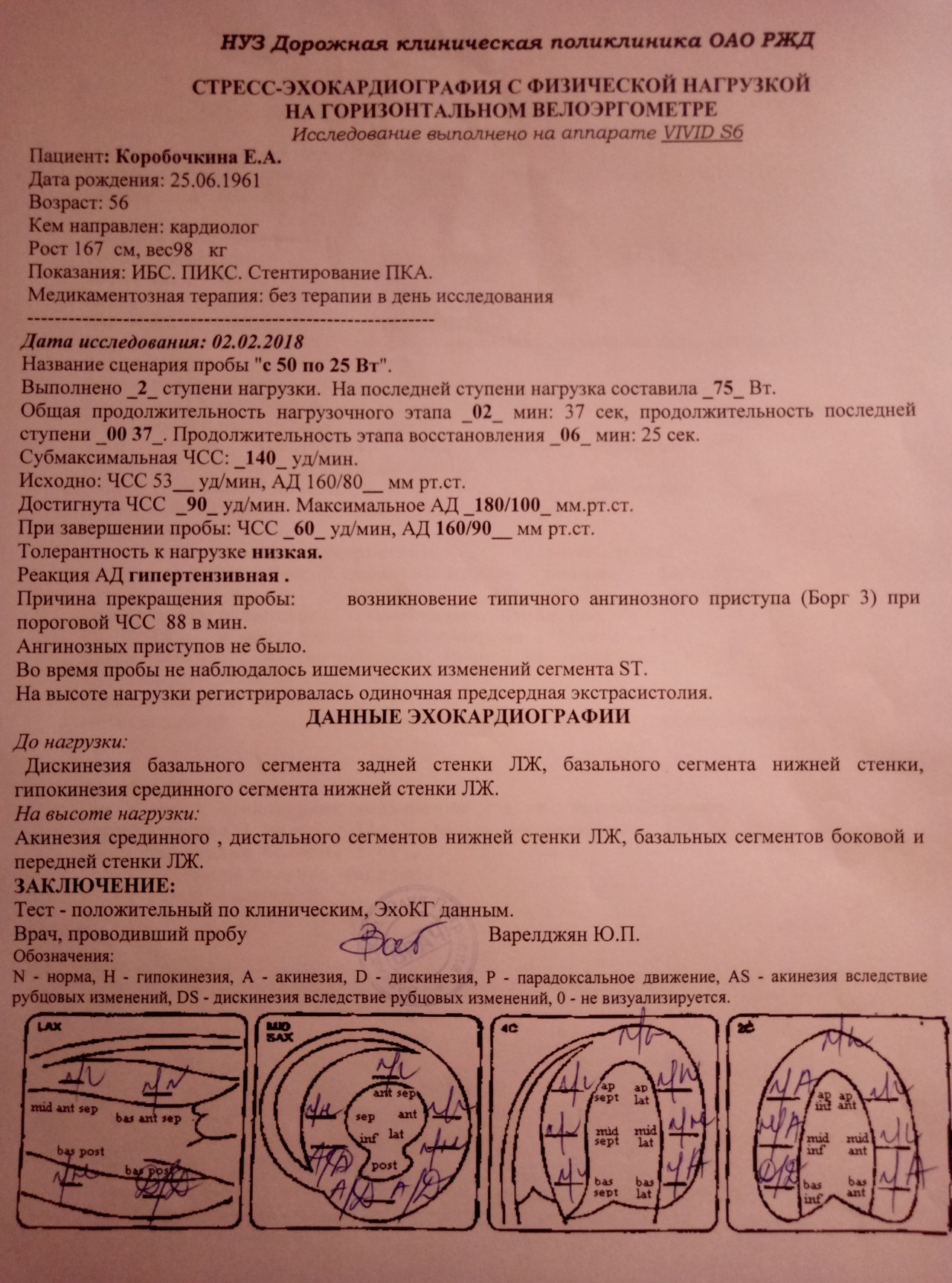 Общий план эхокардиографического обследования протокол исследования