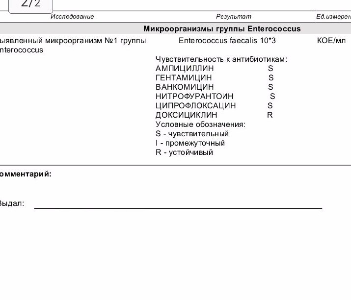 Enterococcus faecalis в мазке у мужчин