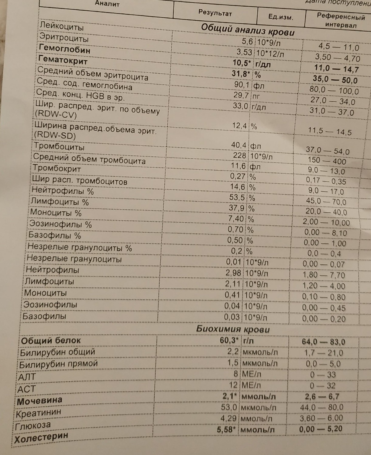 Что такое гематокрит в анализе. Гематокрит в общем анализе. Биохимический анализ крови гематокрит.