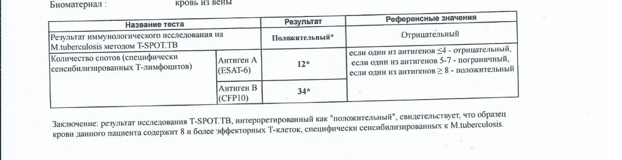 Диаскин тест результаты расшифровка. Результат т спот анализа. Результаты исследования t spot. Т спот анализ на туберкулез. Результат антиген-теста отрицательный.