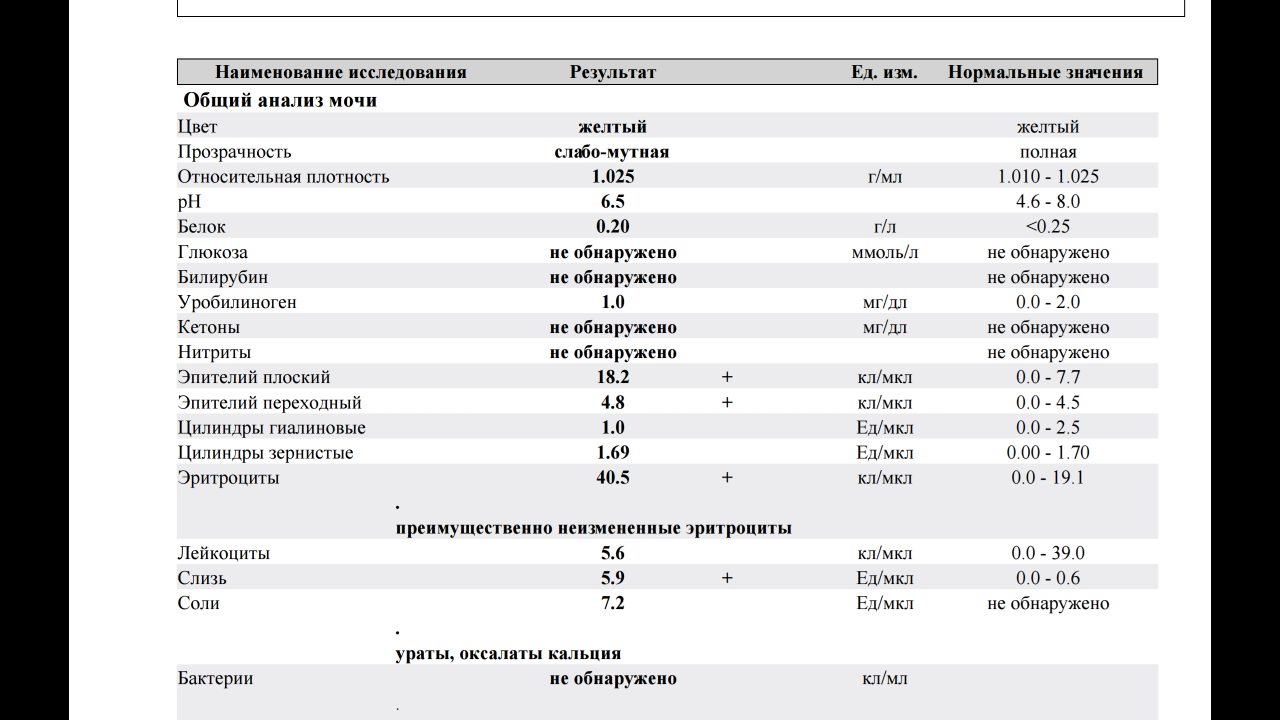 Эпителий в моче при беременности 3. Лейкоциты анализ мочи норма норма. Показатели эритроцитов в моче у женщин. Эритроциты в моче у женщин норма 35 лет. Эритроциты в моче 2++.