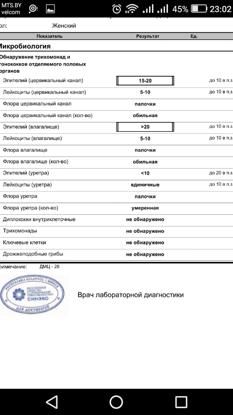 Бланк мазка на флору у женщин образец