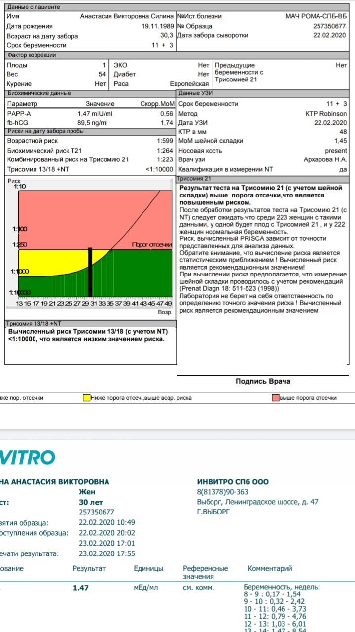 Риск 1. Кровь в 1 скрининг нормы трисомии. Расшифровка скрининга 1 триместра нормы крови. 1 Скрининг анализ крови нормы. Показатели скрининга 1 триместра нормы крови.