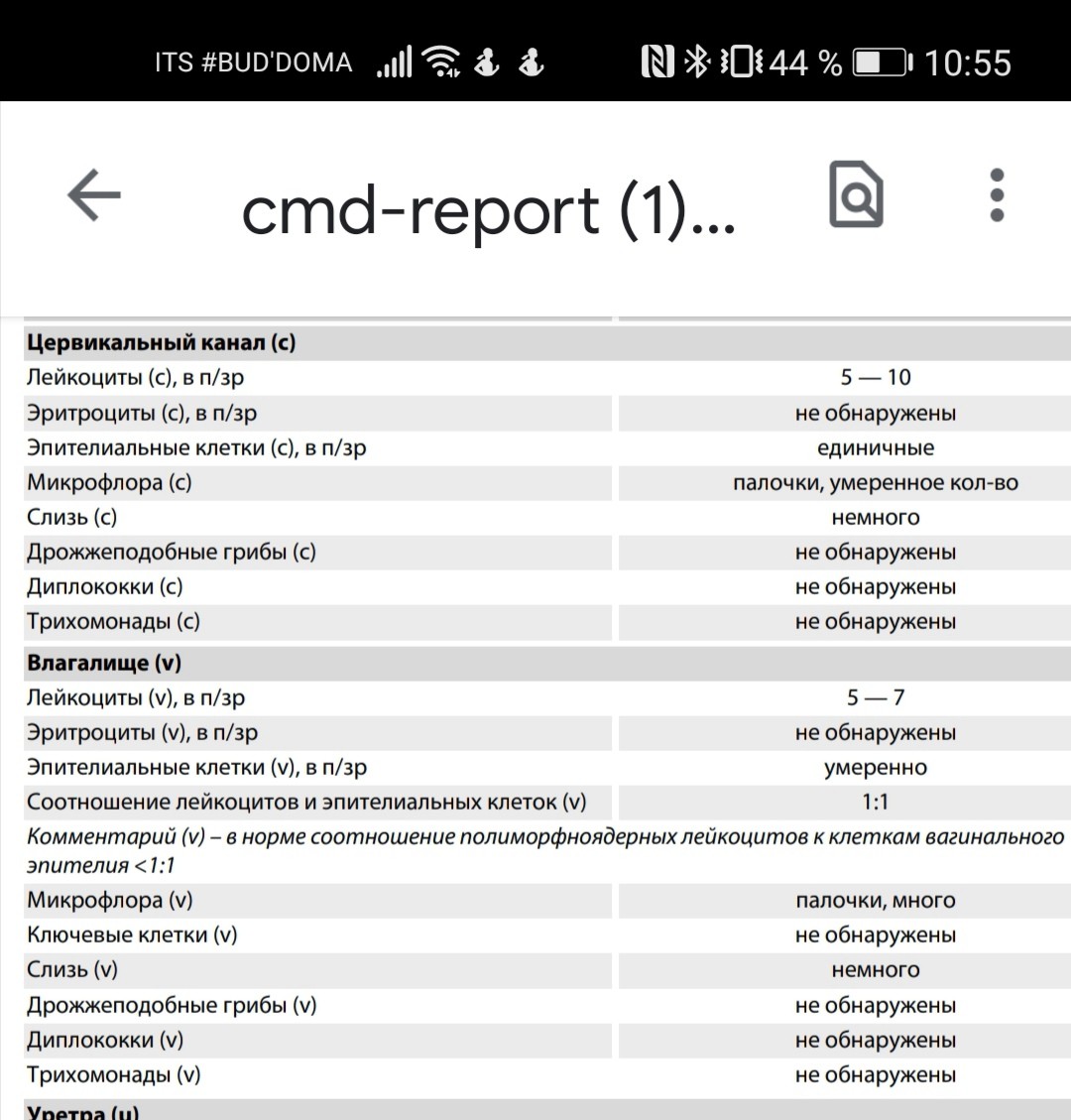 Лейкоциты в мазке на флору