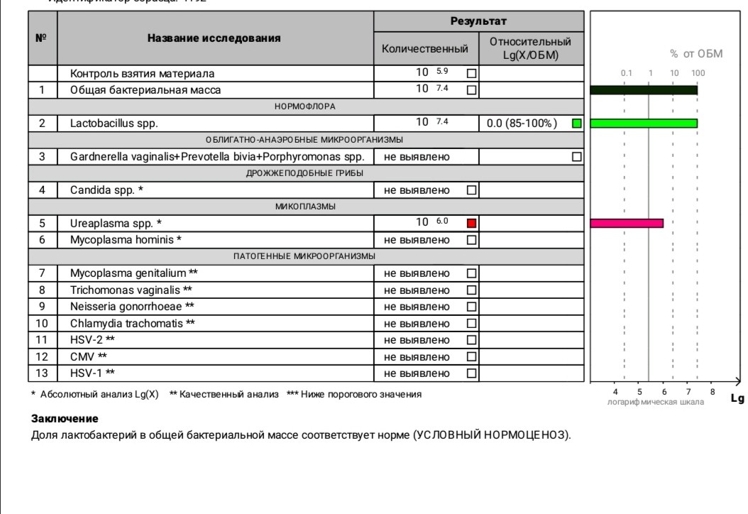 Ureaplasma spp. Уреаплазма SPP 10^3-10^4. 10 В 5.6 степени уреаплазма SPP. Уреаплазма SPP норма. Уреаплазма SPP У женщин норма.