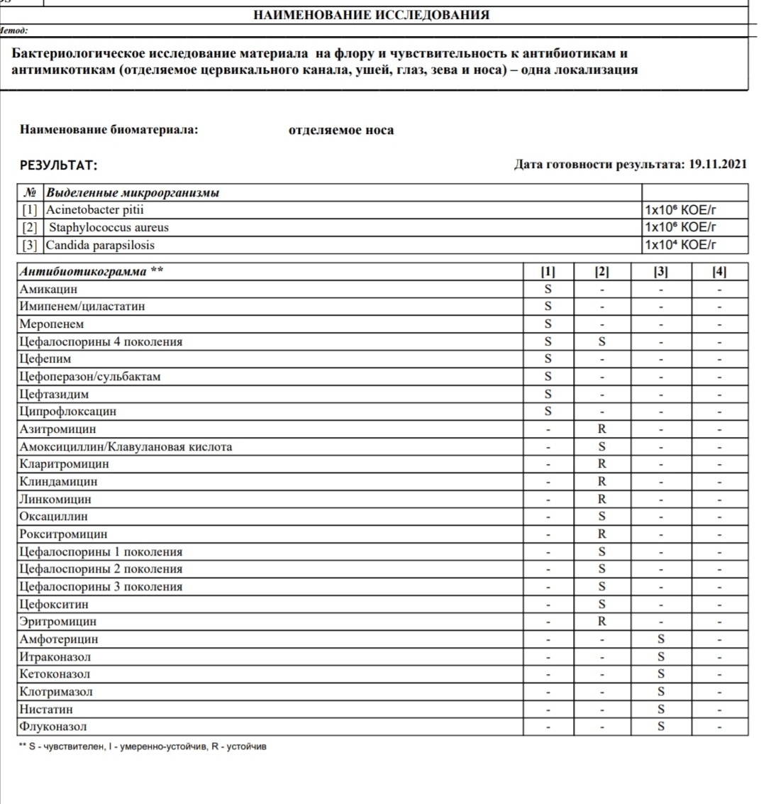 Enterococcus faecalis в посеве на флору. Посев из носа картинки.