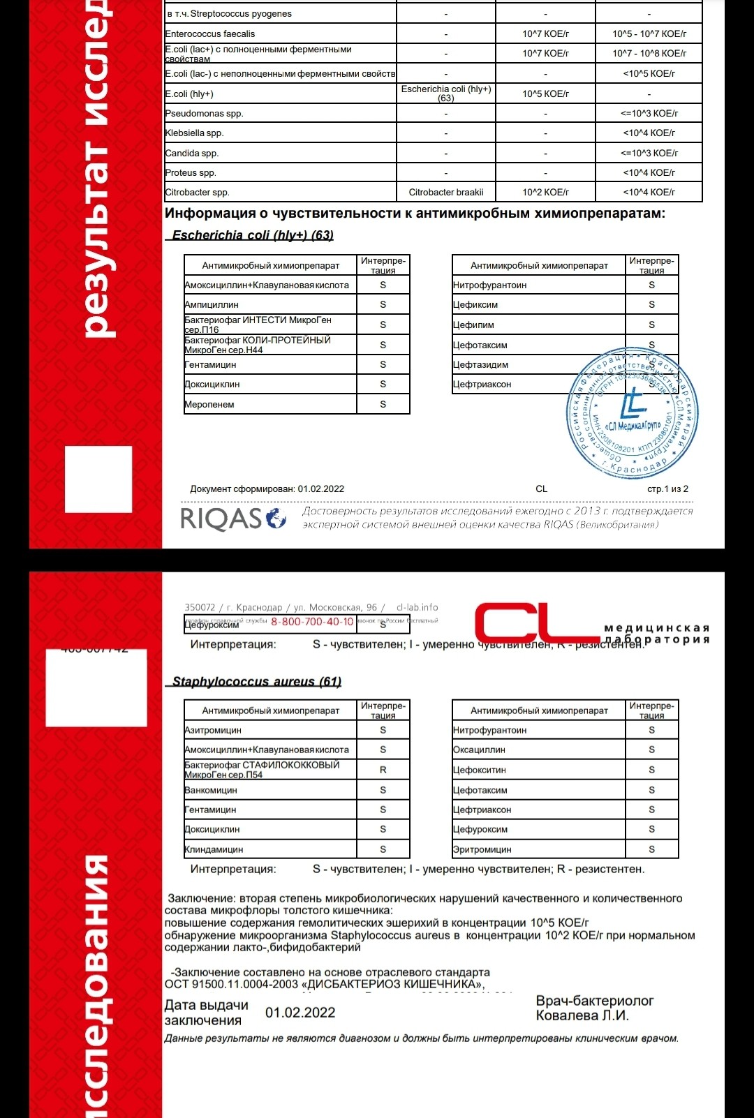 Staphylococcus haemolyticus у мужчин в сперме фото 55