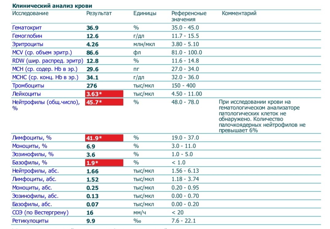 Mchc в анализе. Интерпретация анализов. Анализ крови по гематологии. Как расшифровать отчет о гематологическом анализе крови. MCHC В анализе крови у ребенка.