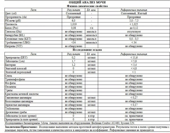Общий анализ мочи сколько надо мл. Журнал общий анализ мочи. Общий анализ мочи картинки. Порядок анализа мочи животных. В общем анализе мочи исследуют тест с ответами.