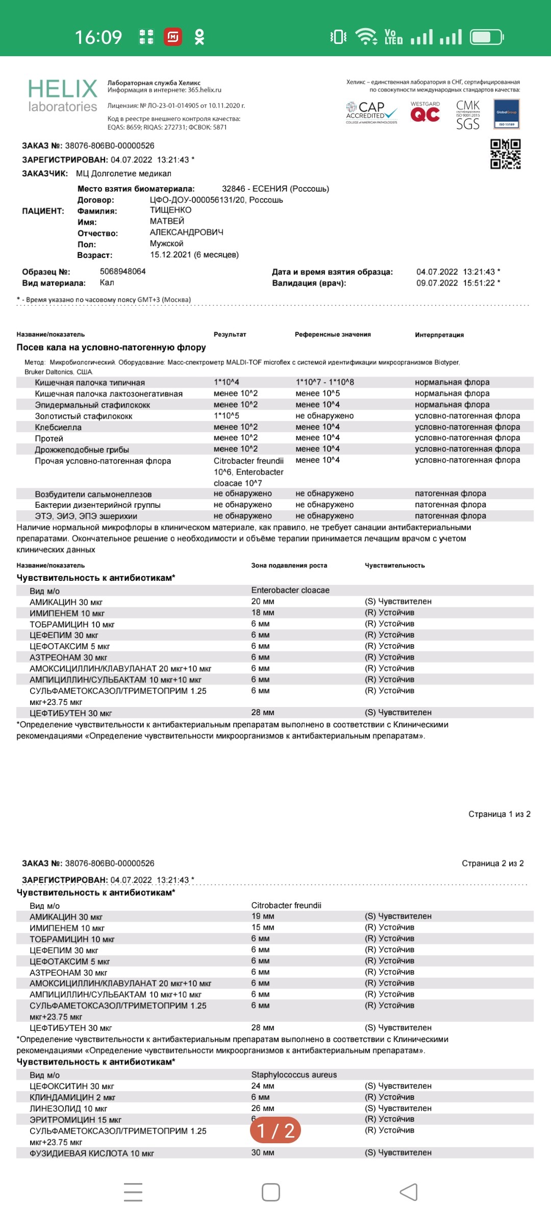 Кал на условно патогенную флору. Кал на патогенную флору. Анализ кала на условно-патогенную флору. Патогенная Флора кала. Условная патогенная Флора калл.