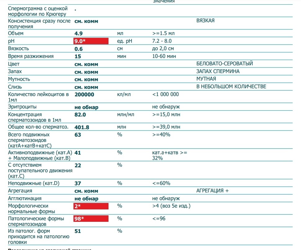Спермограмма по крюгеру что это
