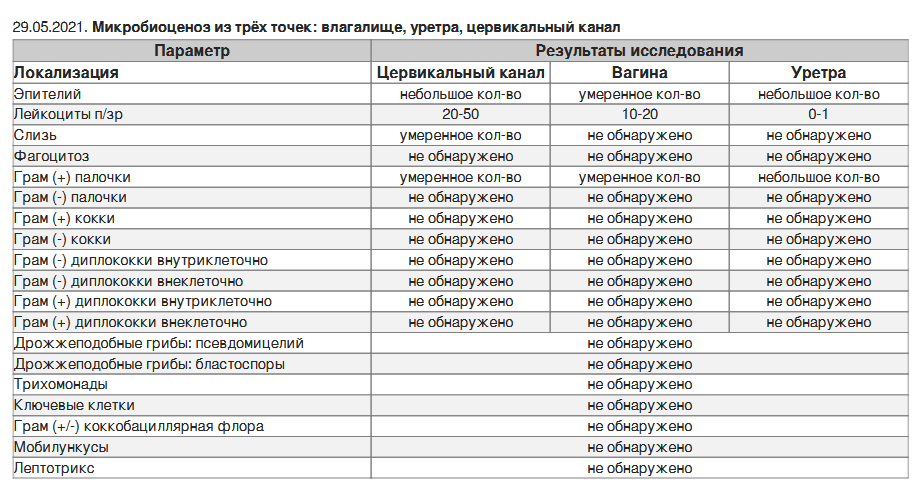 Лейкоциты в мазке из цервикального канала