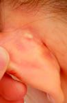Что то за ухом фото 2