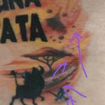 Мелкая сыпь на татуировке фото 1