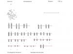 Исследование кариотипа (количественные и структурные аномалии хромосом) фото 1