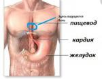 Колет в пищеводе в одной точке в груди фото 1