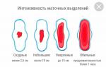 Скудные менструации фото 1