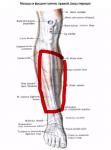 Ноет в берцовой кости фото 2