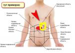 Болит с лева эпигастральной области фото 1